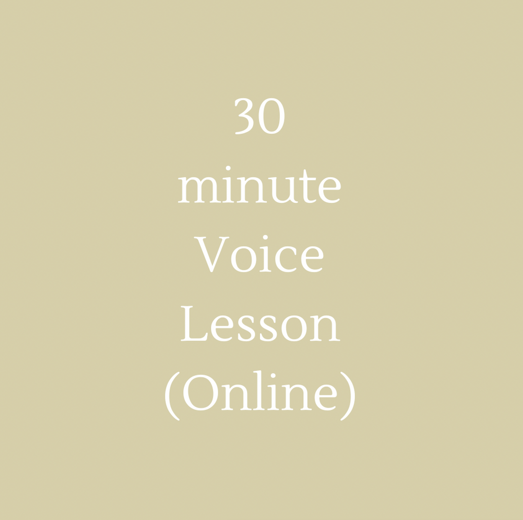 1:1 30 minute Voice Lesson (online)